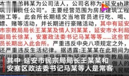 陕西家暴谁爆料的多啊视频,视频揭露家庭暴力频发现状