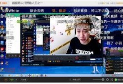 战旗设计师爆料视频在线观看,揭秘游戏设计幕后故事