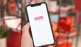 小红书爆料王诗晴视频,揭秘背后真相