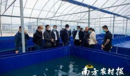 牛蛙养殖场爆料案例视频,揭秘养殖场爆料视频背后的真相