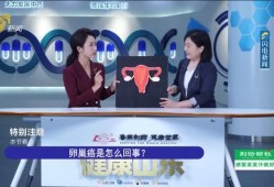 韩网电台爆料新闻视频,最新新闻视频内容大揭秘