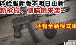 四把升级枪爆料视频大全