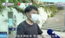 网红情侣被吃瓜,吃瓜群众热议背后的真相