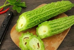 吃瓜网红音乐有哪些