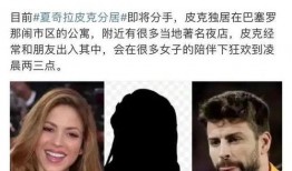模特爆料皮克视频大全集,模特爆料引发全网热议