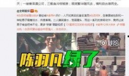 永康爆料鱼夫人出轨视频,鱼夫人出轨视频引发热议