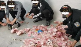 粮仓爆料者被抓视频,真相与正义的较量